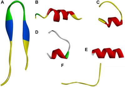 Short Symmetric-End Antimicrobial Peptides Centered on β-Turn Amino Acids Unit Improve Selectivity and Stability